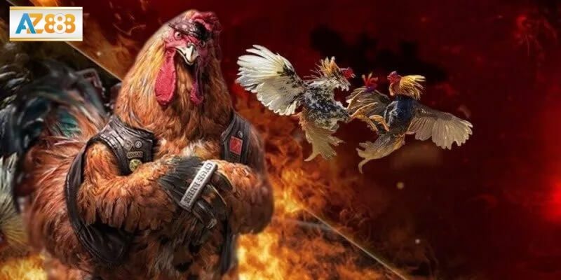 Giới thiệu tổng quan về đá gà tre