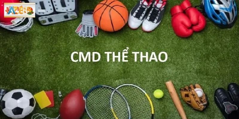 Không gian cược đa dạng, tỷ lệ cạnh tranh cao